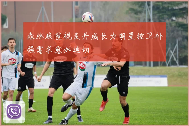 森林狼重视麦丹成长为明星控卫补强需求愈加迫切