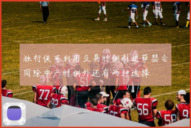 独行侠可利用交易特例引进萨瑟合同除中产特例外还有两种选择